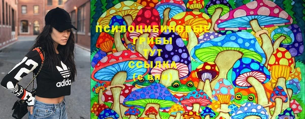тгк Алексин
